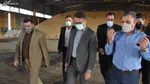فاسد شدن چندصد تن سویای دامی در بندر امام!