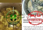 با این فناوری جدید گربه‌ها پادشاهی می‌کنند