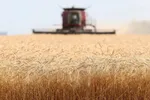 ۵ دلیل که نباید غذا را بیرون از یخچال نگه دارید