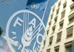 بحران جهانی غذا طولانی‌تر از جنگ اوکراین خواهد شد