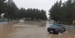 وزش باد شدید در برخی استان‌ها/ افزایش دما در اغلب مناطق کشور
