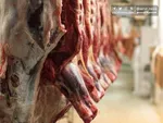قیمت گوشت ۱۰۰ هزارتومان کاهش می‌یابد