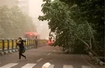 هشدار گرمای نامتعارف در ۱۳ استان