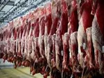 افشاگری رئیس کمیسیون اقتصادی مجلس از فساد گسترده در تخصیص ارز ۴۲۰۰ تومانی
