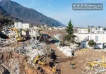 فراخوان یک آقازاده برای سبزی‌ها +سند