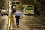 هشدار هواشناسی به تهرانی‌ها | وزش باد شدید و خطر شکستن درختان