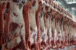 آرامش به بازار مرغ باز می‌گردد