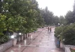 بارش پراکنده باران و توده گرد و خاک در راه استان‌ها