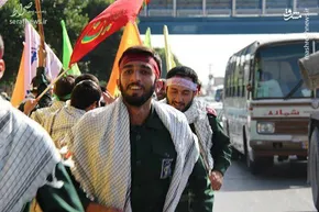 عکس/خروج بچه سنجاب‌ها برای اولین بار از لانه