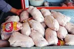 کاهش قیمت مرغ به حدود ۲۰هزار تومان