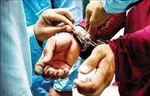 دستور فروش فوری اموال کوروش کمپانی/ توقیف ۱۰۰۰ کانتینر متعلق به چای دبش