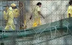 دختر صدام برای سیف الاسلام قذافی پیام فرستاد