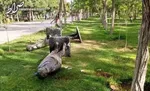 دزدیده شدن مجسمه «کودک» در میدان ونک +عکس
