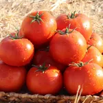 راه‌حل عبور از گرانی‌ها چیست؟