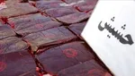 توقیف اتوبوس حامل ۳۰ کارتن آووکادو قاچاق