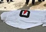 مفقود شدن ۸ کوهنورد بر اثر سقوط بهمن