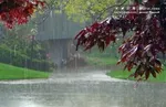 پیش‌بینی هواشناسی از ماندگاری توده هوای گرم در ایران