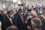 ۴۴۶ زندانی به مناسبت عید مبعث آزاد می‌شوند