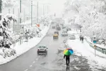 به منظور پیشگیری از بروز هرگونه حادثه احتمالی تا اطلاع‌ثانوی کوه نروید!