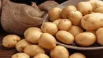 سیب‌زمینی و گوجه‌فرنگی ارزان شد/ قیمت جدید