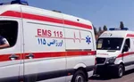علت مرگ ۴ زائر ایرانی در کربلا