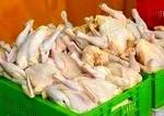 وزارت کشاورزی: میوه‌های قاچاق را آتش بزنید