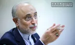 ترامپ، غزه و خطرات چک سفید برای تل‌آویو