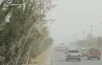 هشدار هواشناسی برای تهران| احتمال رگبار در نیمه شمالی و وزش باد شدید