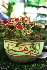 آخرین‌مرخصی یک‌شهیدبه روایت مادرش