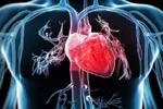 ۳ ترکیب ساده خوراکی برای قلب سالم‌تر بسازید