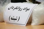 قیمت گل در ایران ۶ برابر هلند!