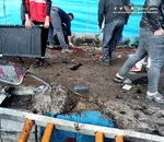 درخواست پزشکیان از وزیر صمت درباره کرمان