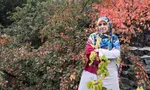 دانش آموز فومنی دندان‌های مدیر مدرسه را شکست