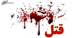 متلک‌های بی پایان قلعه‌نویی به دایی