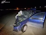 اعترافات یک زوج بی‌رحم که از راننده تاکسی اینترنتی زورگیری کردند