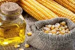 ۱۰ گزینه غذایی قلب را جوان نگه می دارند