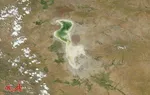 فجیع ماهی‌ها در دریاچه«کیو» +تصاویر