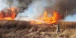 آتش‌سوزی در مرکز ترک اعتیاد عمدی بود