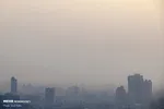 زمانی که پیتزا می‌خوریم چه اتفاقی در بدن رخ می‌دهد؟