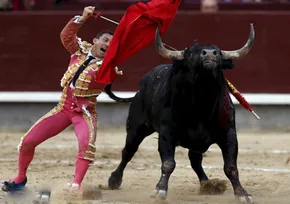 عکس/گاوبازی در افتتاحیه نمایشگاهی در آمریکا