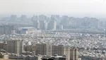 به گل‌نشستن لاشه یک دلفین در ساحل بوشهر+ عکس
