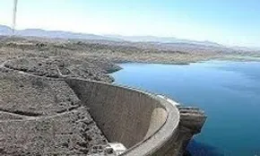تصاویر/ ماهی‌های کف رودخانه