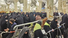 تصاویر| حرم امیرالمومنین محیای آخر صفر شد