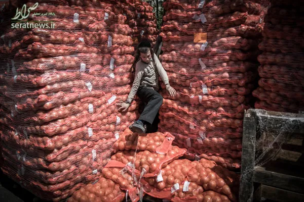یک جوان یهودی ارتدوکس افراطی در میان کیسه های پیاز در اورشلیم