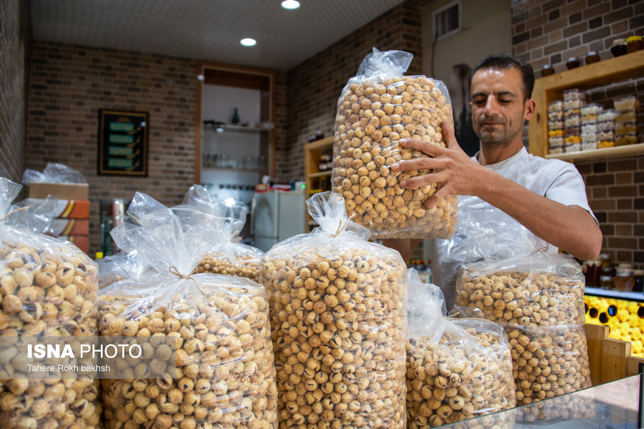تصاویر| بزرگترین انجیرستان دیم جهان - استهبان تصاویر| بزرگترین انجیرستان دیم جهان - استهبان