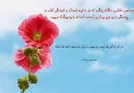 مائده دختر مشهور اينستاگرامي كجاست؟