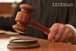 از امیرعلی تا مهسا؛ قربانیان فراموش‌شده سگ‌های بی‌صاحب در ایران