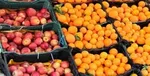 گوجه‌فرنگی گلخانه‌ای ۱۱هزار تومان شد
