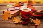 بهترین دمنوش‌ها در دوران کرونا