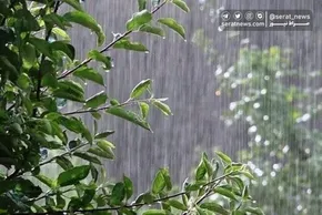 فیلم / قزل‌اوزن دوباره جان گرفت؛ حجم آب این رود وحشی را ببینید
